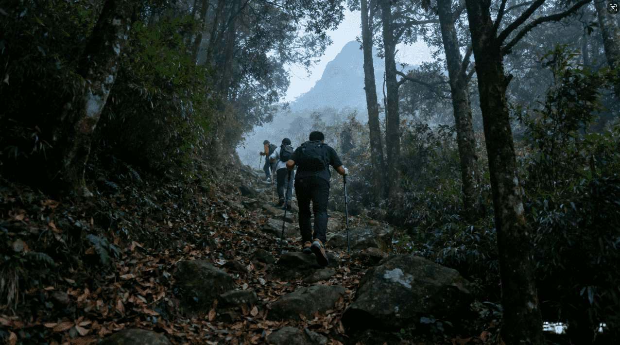 小牛加速器广告靠谱吗？专家深度解析与用户真实体验分享